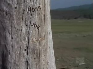 Bonanza 13×1
