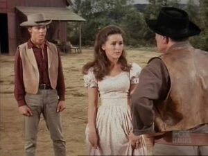 Bonanza 10×27