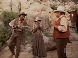 Bonanza 12×19