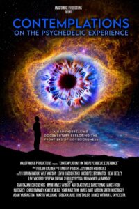 Contemplations: On the Psychedelic Experience