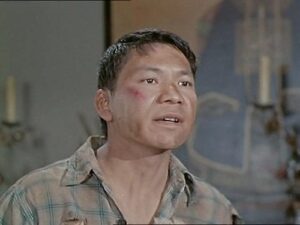 Bonanza 1×20